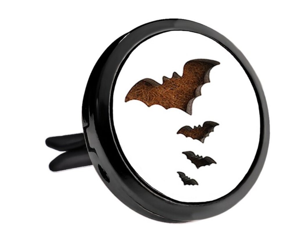 Black and Silver Car Diffuser Clips