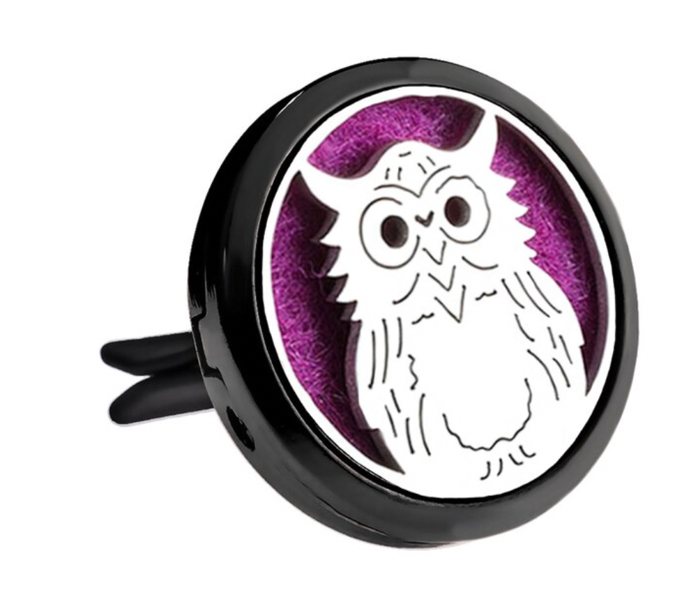 Black and Silver Car Diffuser Clips