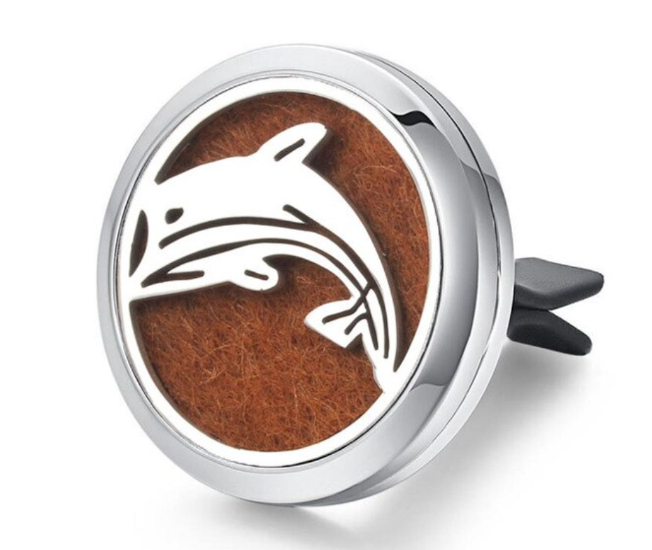 Silver Car Diffuser Clips