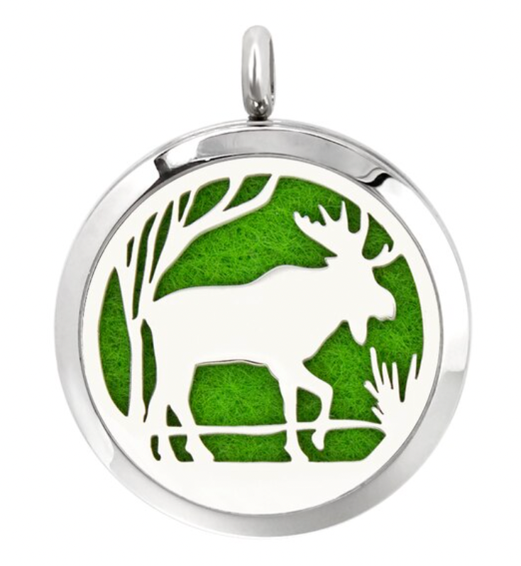 Stainless Steel Diffuser Pendant