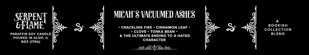 Micah's Vacuumed Ashes