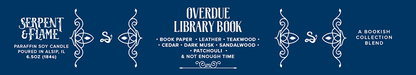 Overdue Library Book
