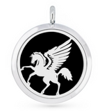 Stainless Steel Diffuser Pendant