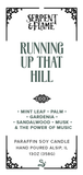 Running Up That Hill, Mint Palm Gardenia
