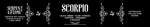 Zodiac Scorpio Candle, Black Amber Plum